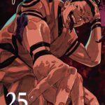 【2024年1月4日】呪術廻戦 コミックス 25巻