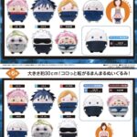 【2025年3月】呪術廻戦 ふわコロりん Ｍ / BIG（再販）